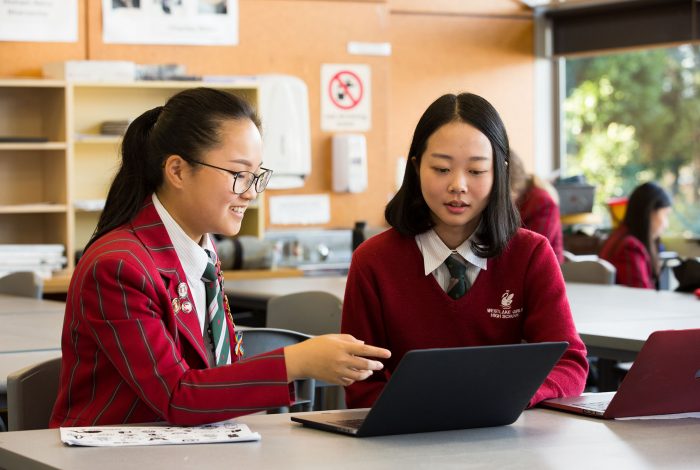 Smart Swans Smart Swans