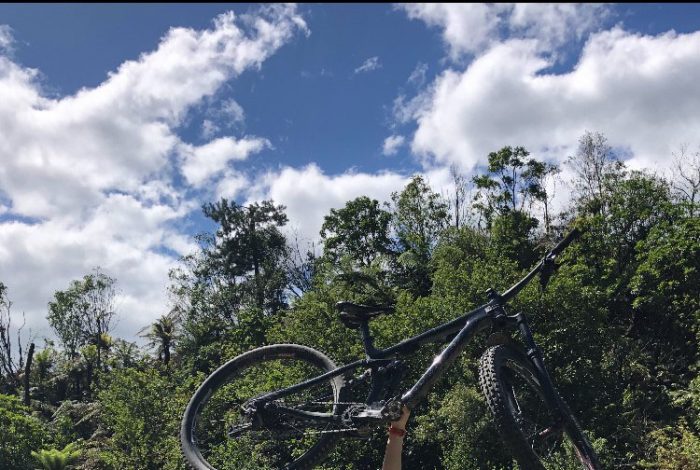 Beth Naylor Beth Naylor