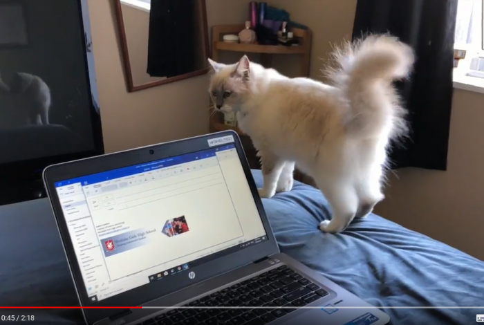 kahlia Hawkins kahlia Hawkins