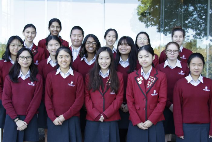 Brain Bees Brain Bees