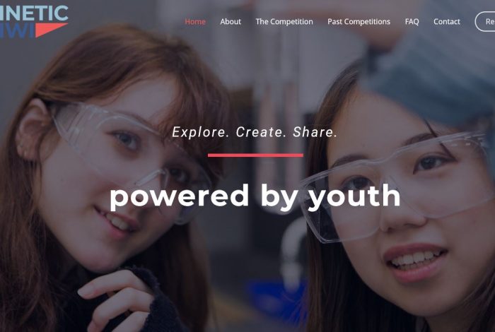 Kinetic Kiwi Kinetic Kiwi