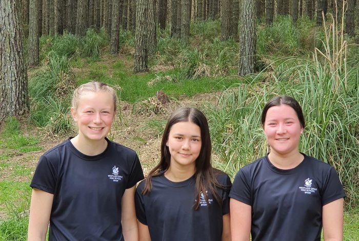 Orienteering 2 Orienteering 2