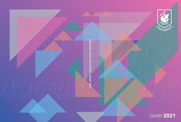 Diary cover Diary cover