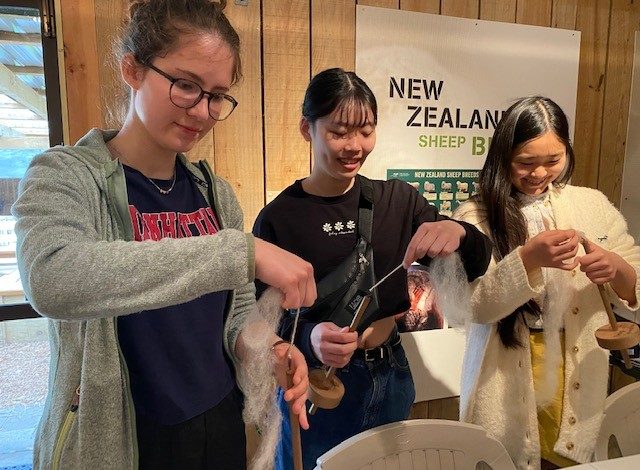 International wool International wool