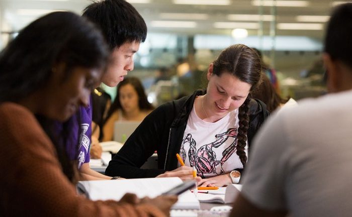 university university