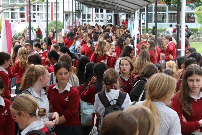 Market day main Market day main