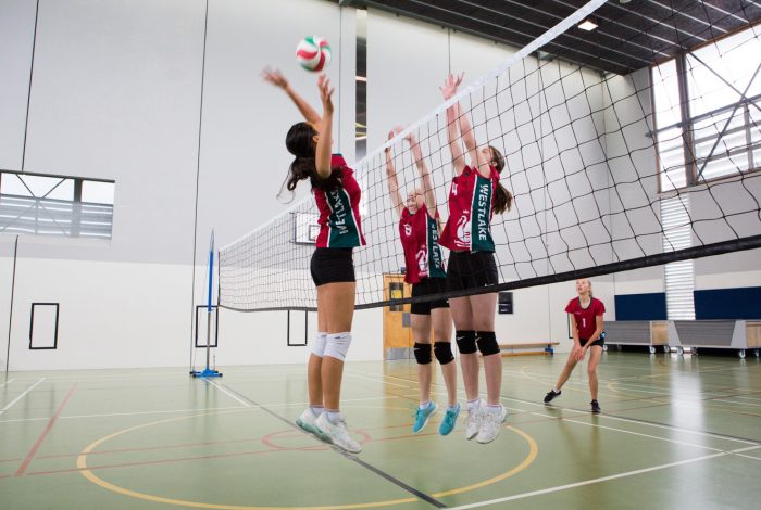 Wellness ` Wellness `