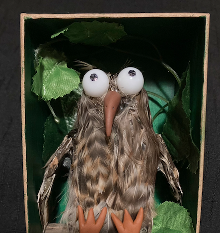 Devon’s Ruru Devon's Ruru