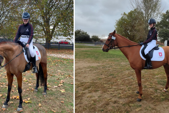 Horses combined Horses combined