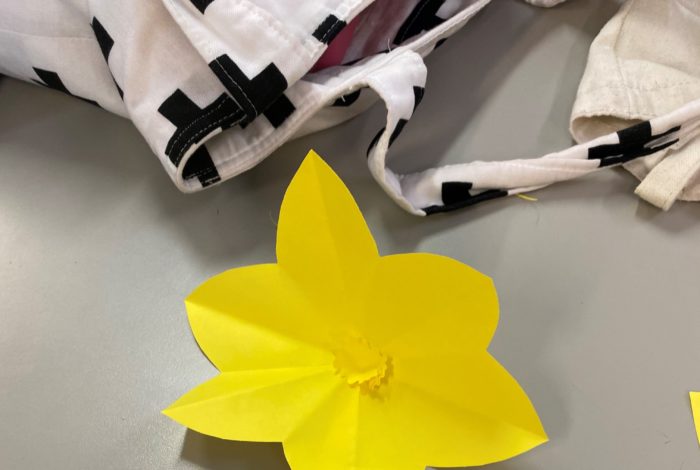 Daffodil Day Daffodil Day