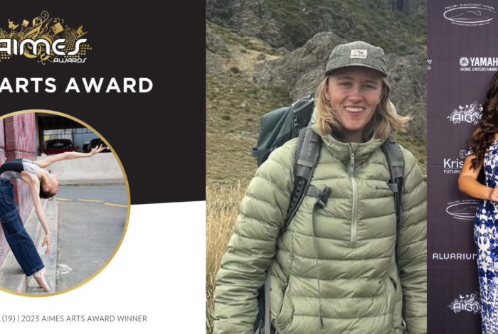 AIMES Awards AIMES Awards