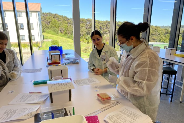 Molecular Methods Day 2