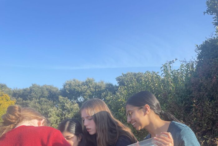 Students for the environment