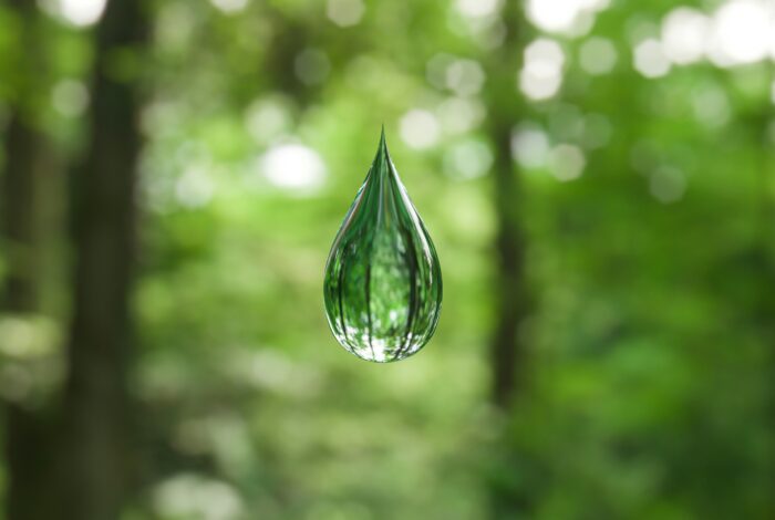 anirudh-aKG5MPuJbKA-unsplash