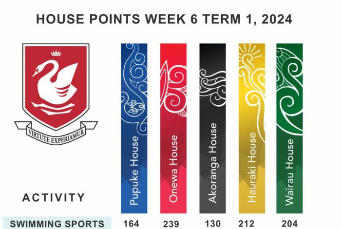 house points week 6 Term 1, 2024